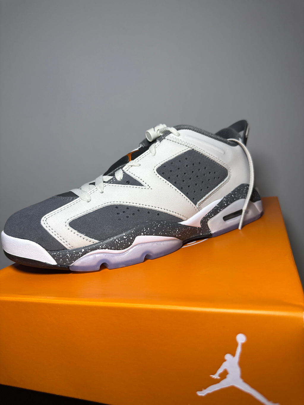 Air Jordan 6 Retro Low PSG