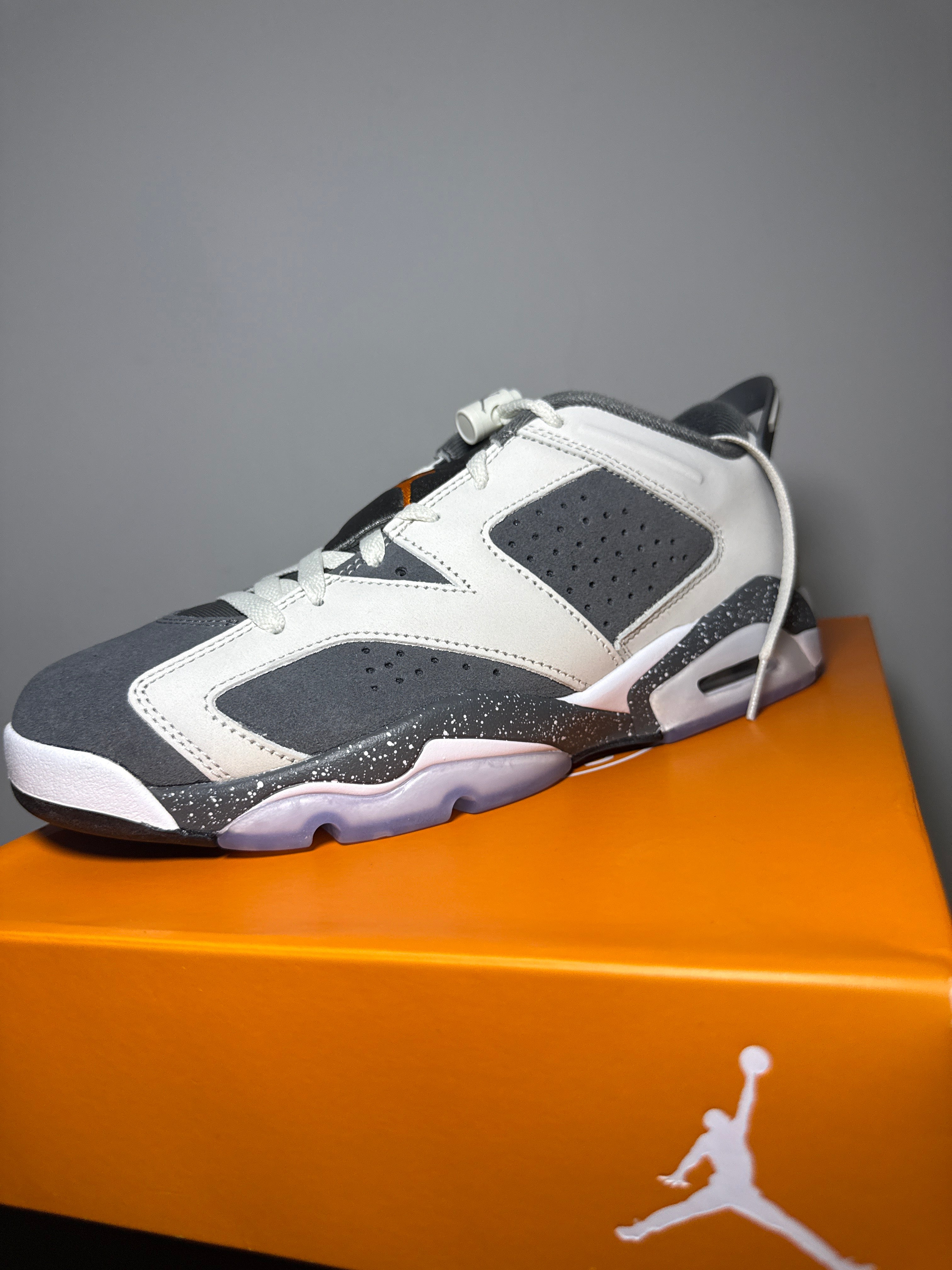 Air Jordan 6 Retro Low PSG