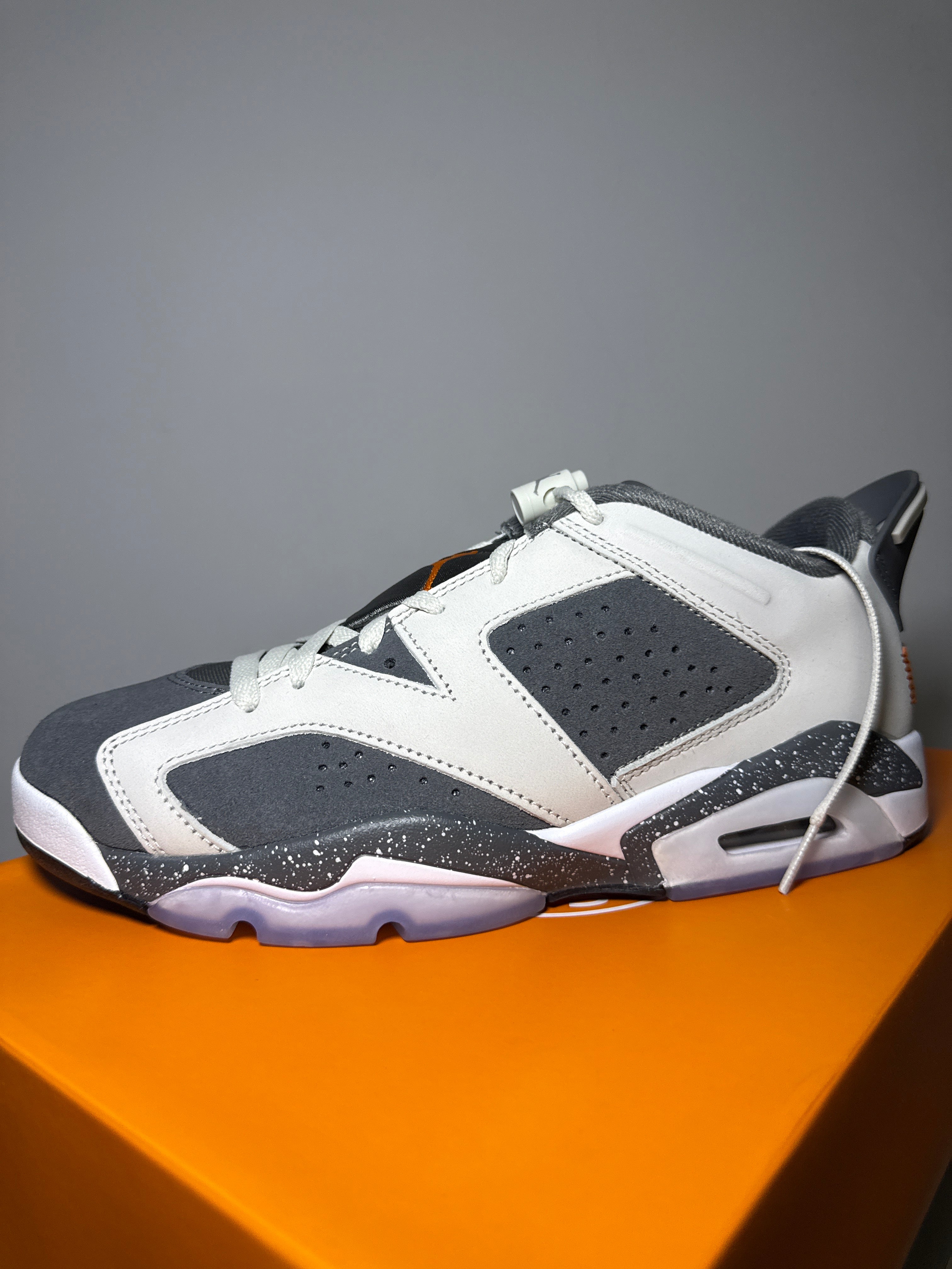 Air Jordan 6 Retro Low PSG