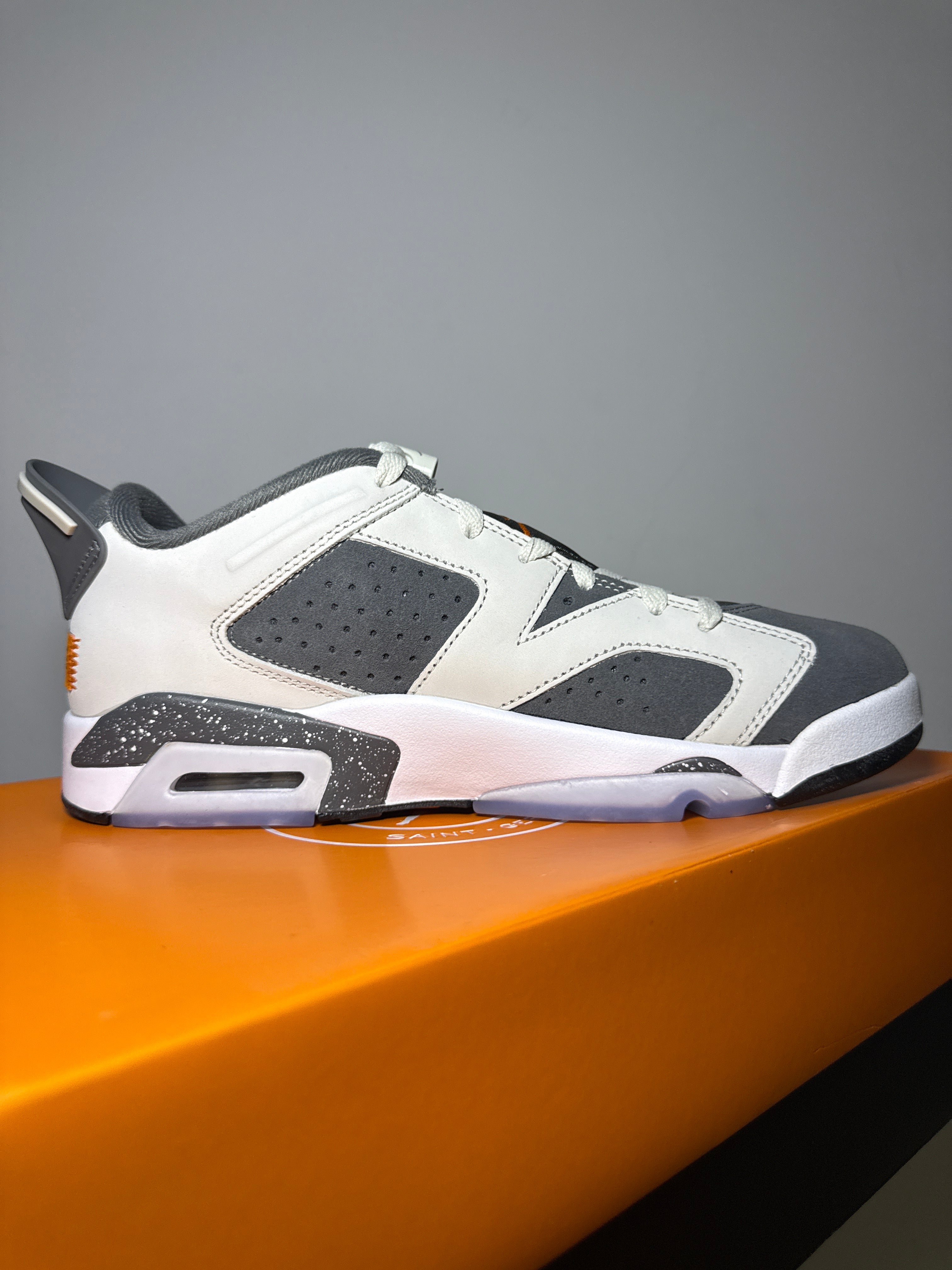 Air Jordan 6 Retro Low PSG