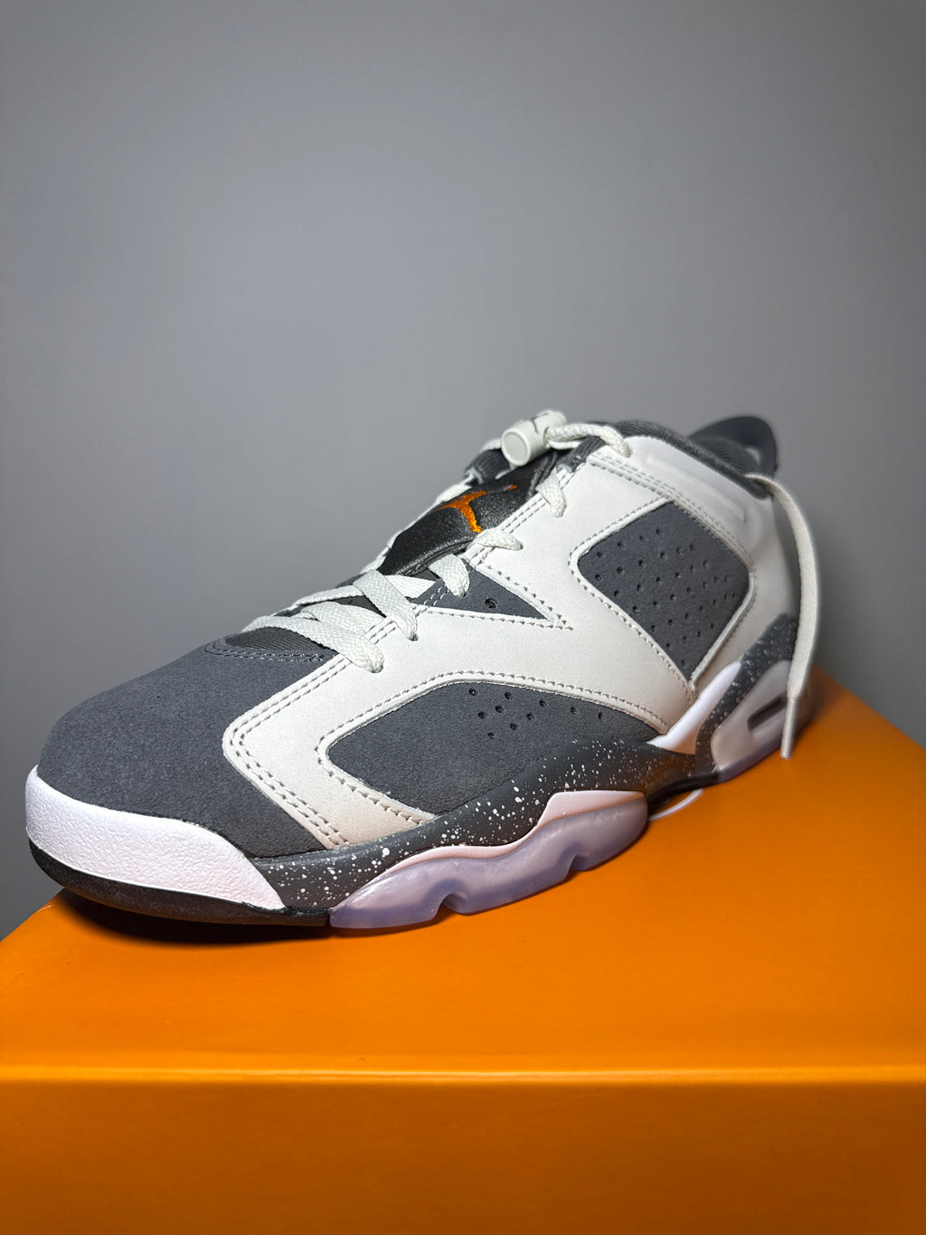Air Jordan 6 Retro Low PSG